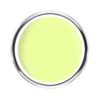 Neon Collection | LEMON POP