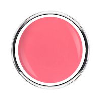 Hibiscus Collection | PARADISE SORBET