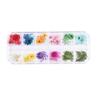 Nailart Dry Flower | WILDFLOWER