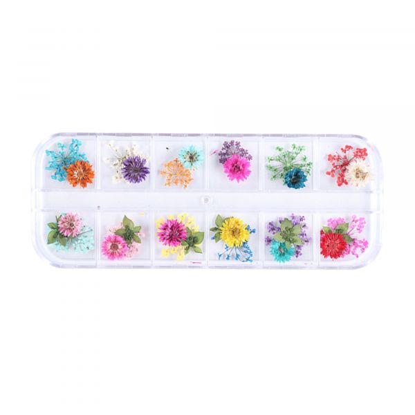 Nailart Dry Flower | FLORAL HARMONY