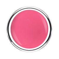 Hibiscus Collection | HIBISCUS DREAM