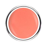 Hibiscus Collection | CORAL BREEZE