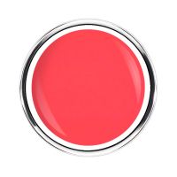 Neon Collection | SUNSET FEVER