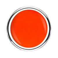Hibiscus Collection | PAPAYA BLISS
