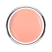 Mermaid Collection | CORAL REEF