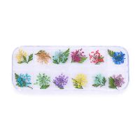 Nailart Dry Flower | BOTANICAL