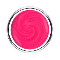 Hibiscus Collection | DRAGON FRUIT