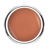 Lipstick Collection | HONEY KISS Lipstick Collection | HONEY KISS