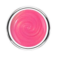 Hibiscus Collection | GOLDEN FLAMINGO