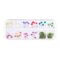 Nailart Dry Flower | FLOWER COUTURE