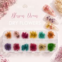Nailart Dry Flower | BLOSSOM DREAM