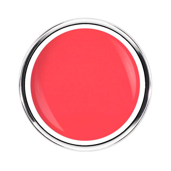 Neon Collection | SUNSET FEVER