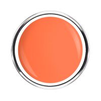 Neon Collection | IBIZA BLAZE