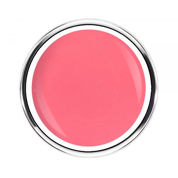 Hibiscus Collection | PARADISE SORBET