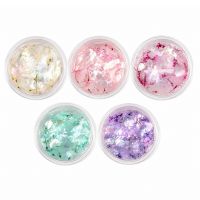Nail Art Set | COLOR SHELL & FLOWER
