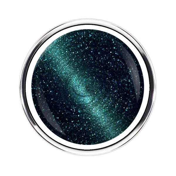 NEW Cat Eye Gel | FOREST NIGHT