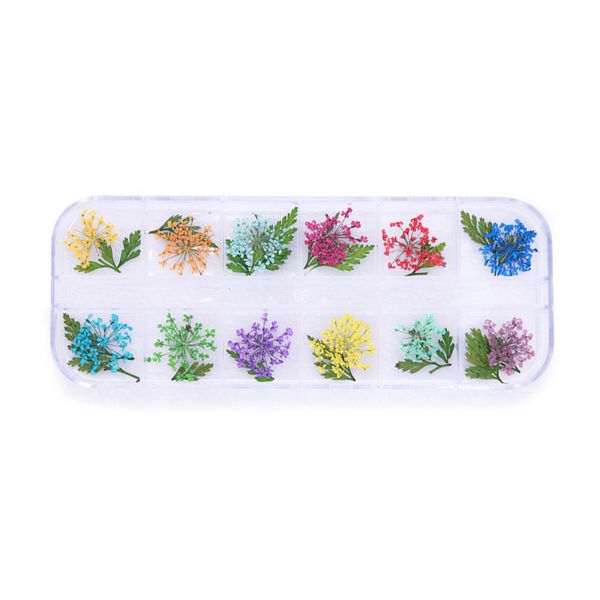 Nailart Dry Flower | BOTANICAL